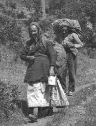 Foto de dues trementinaries carregant herbes remeieres